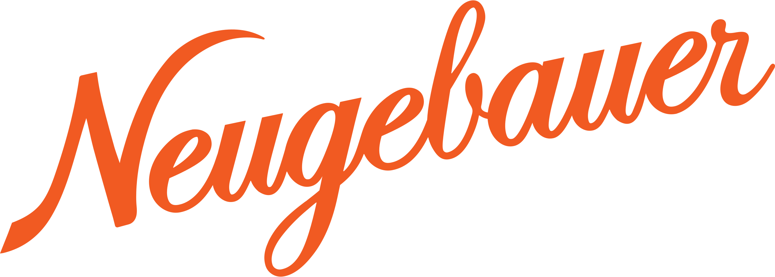 Logo de Neugebauer